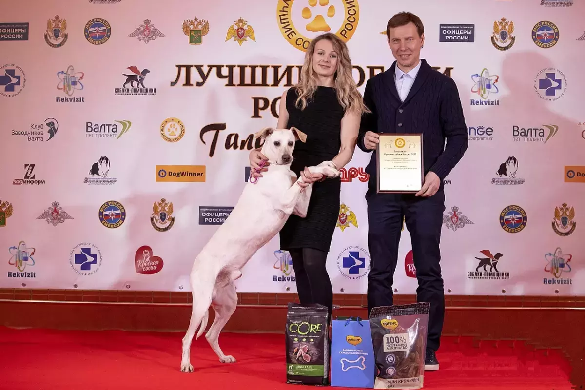 BEST RUSSIAN DOG/ЛУЧШИЕ СОБАКИ РОССИИ